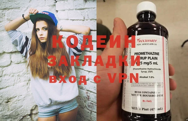 трава Белокуриха
