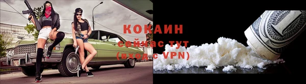 трава Белокуриха
