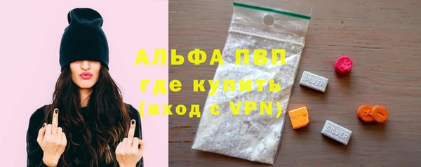 трава Белокуриха