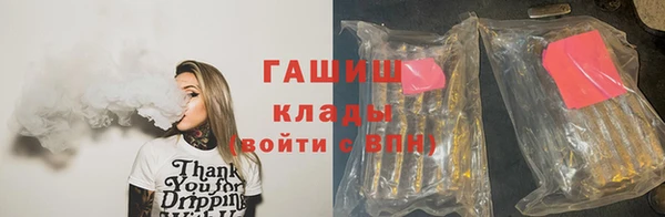 трава Белокуриха