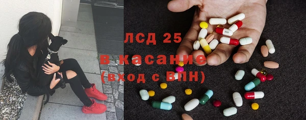 трава Белокуриха