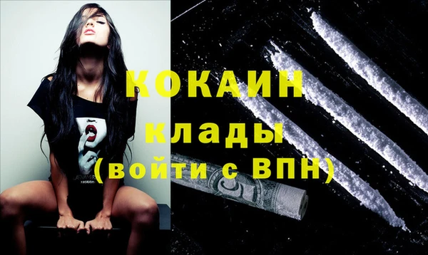 трава Белокуриха