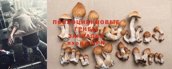 a pvp Беломорск