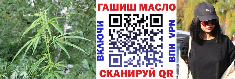 Дистиллят ТГК концентрат Пионерский