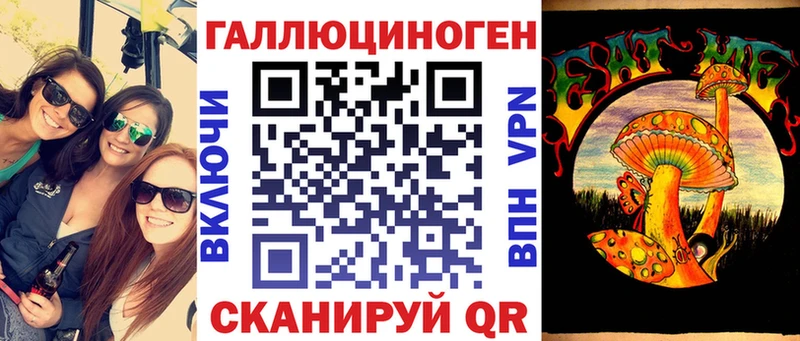 Псилоцибиновые грибы Psilocybine cubensis Пионерский