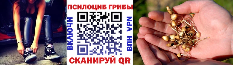 blacksprut маркетплейс  цены наркотик  Пионерский  Галлюциногенные грибы MAGIC MUSHROOMS 