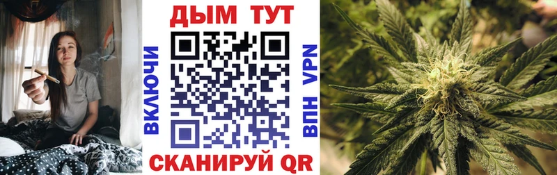 Бошки марихуана семена  Пионерский 